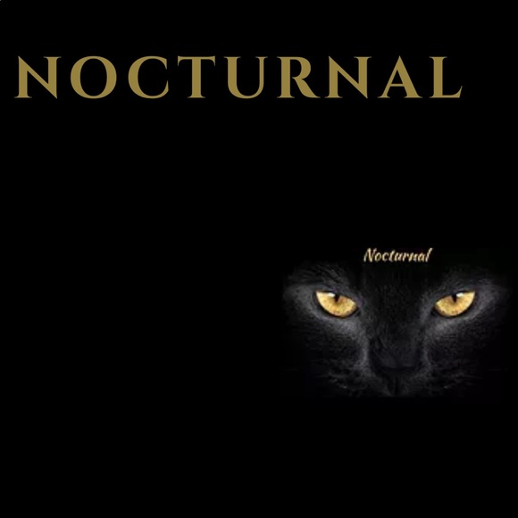 shopnocturnal